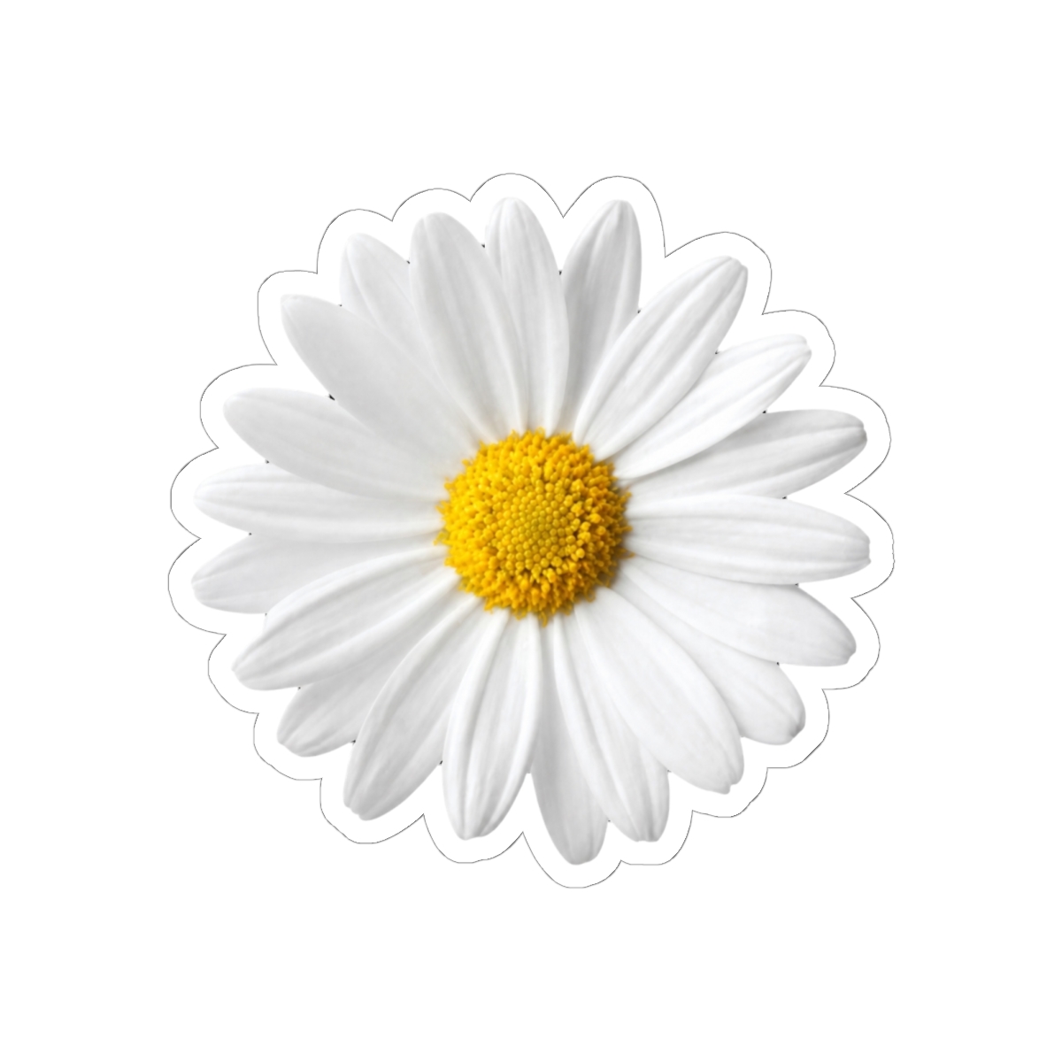 Daisy Things We Never Got Over | Lucy Score - alternate angle 2, merchandise